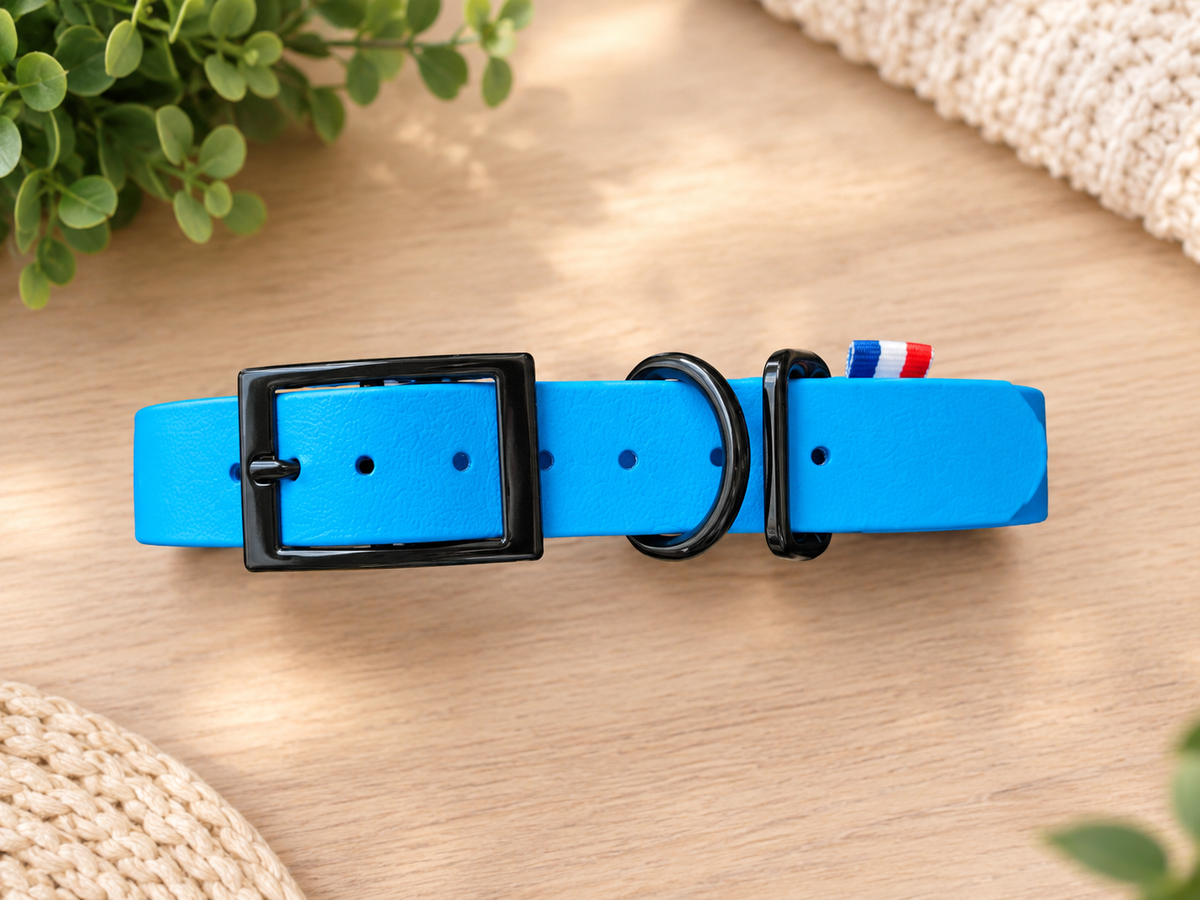 Collier BioThane personnalisé pour chien – Fabriqué en France - ArèsDog 🇫🇷