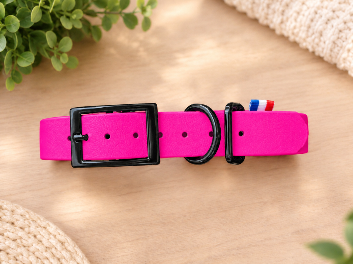 Collier BioThane personnalisé pour chien – Fabriqué en France - ArèsDog 🇫🇷
