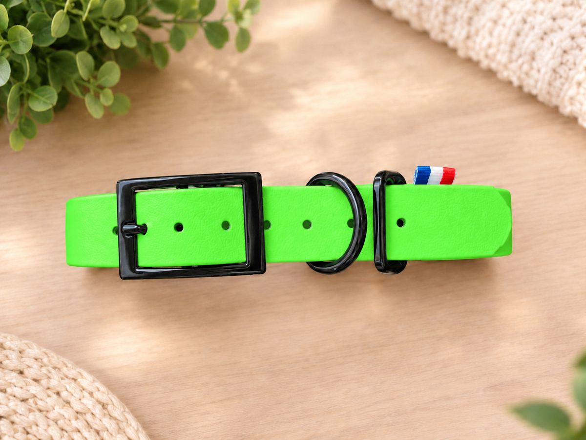 Collier BioThane personnalisé pour chien – Fabriqué en France - ArèsDog 🇫🇷