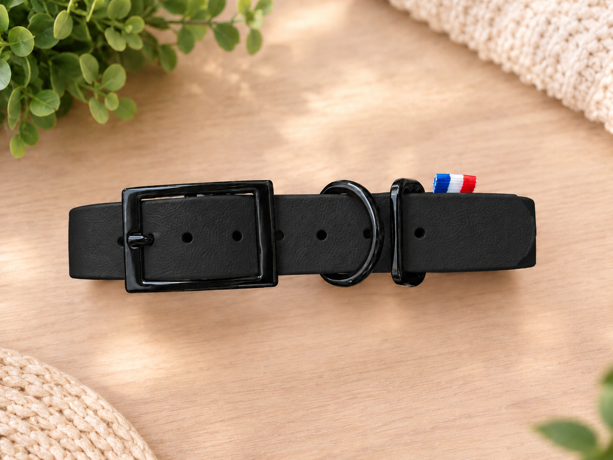 Collier BioThane personnalisé pour chien – Fabriqué en France - ArèsDog 🇫🇷