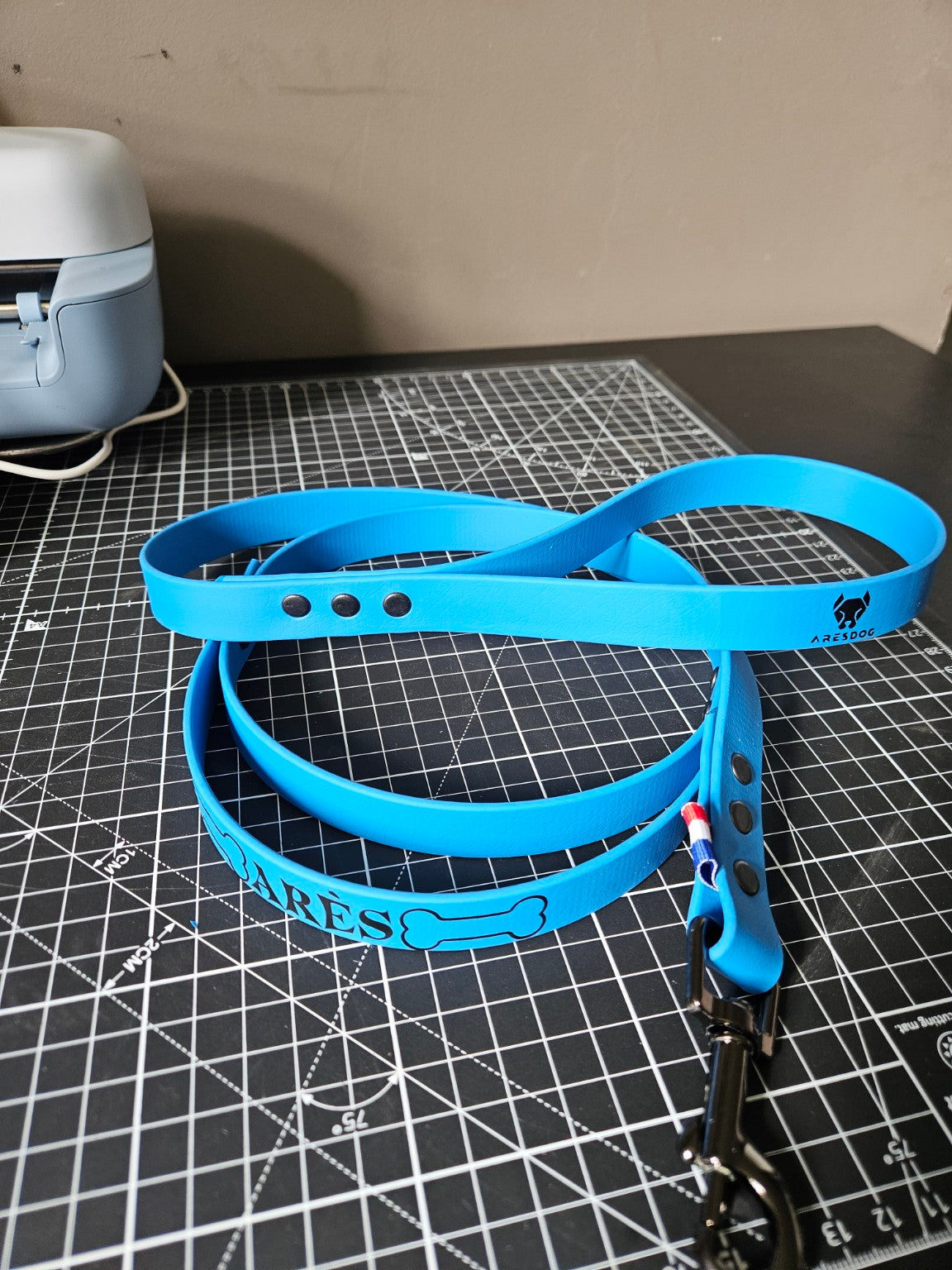 Laisse BioThane personnalisé pour chien – Fabriqué en France - ArèsDog  🇫🇷