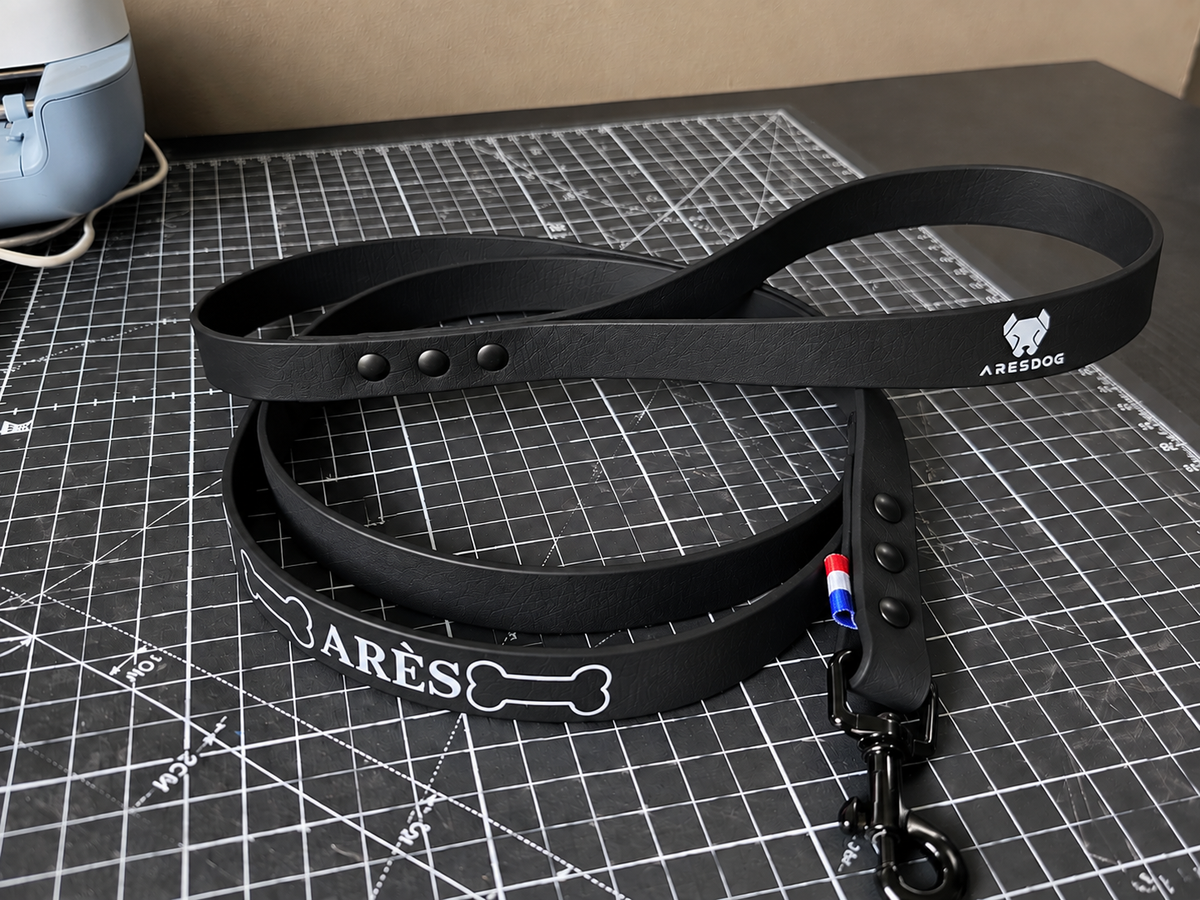 Laisse BioThane personnalisé pour chien – Fabriqué en France - ArèsDog  🇫🇷