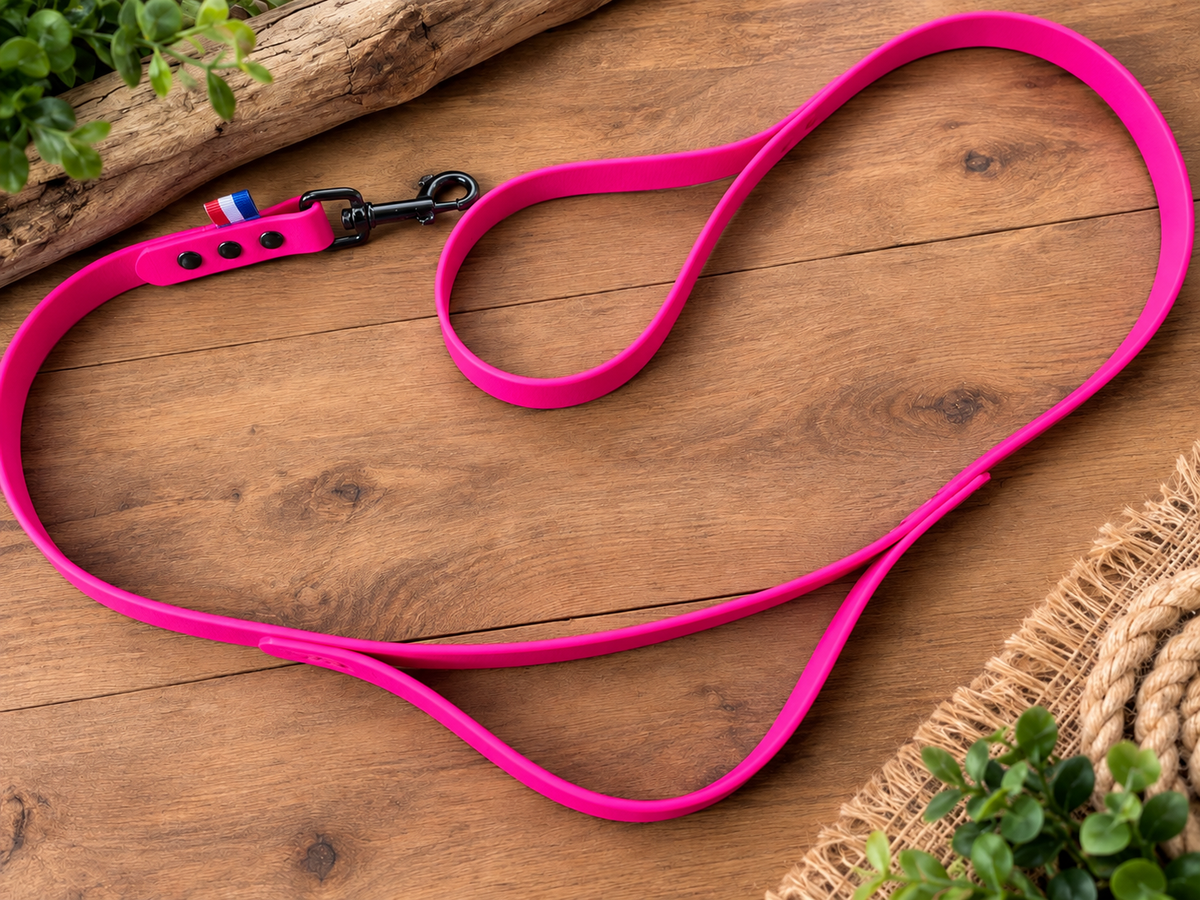 Laisse BioThane personnalisé pour chien – Fabriqué en France - ArèsDog  🇫🇷