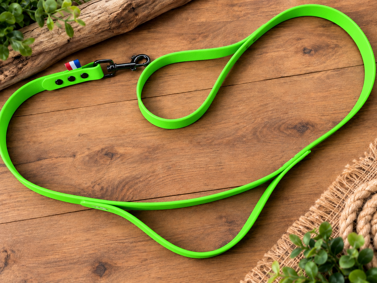 Laisse BioThane personnalisé pour chien – Fabriqué en France - ArèsDog  🇫🇷