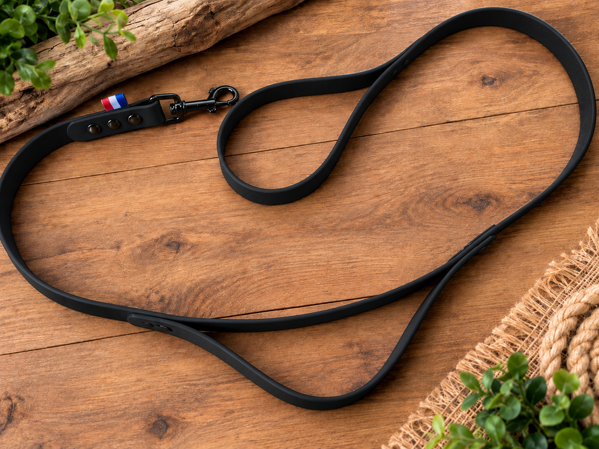 Laisse BioThane personnalisé pour chien – Fabriqué en France - ArèsDog  🇫🇷