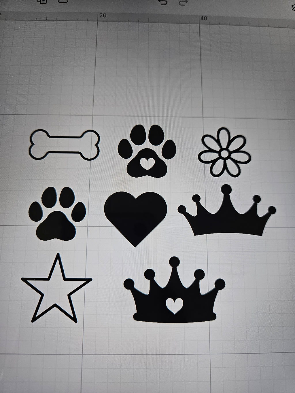 Collier pour chien en biothane