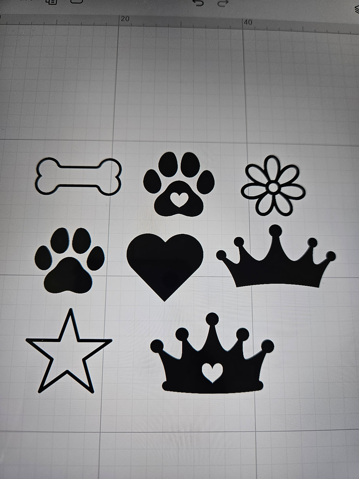 Collier pour chien en biothane