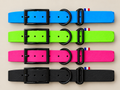 Collier pour chien en biothane