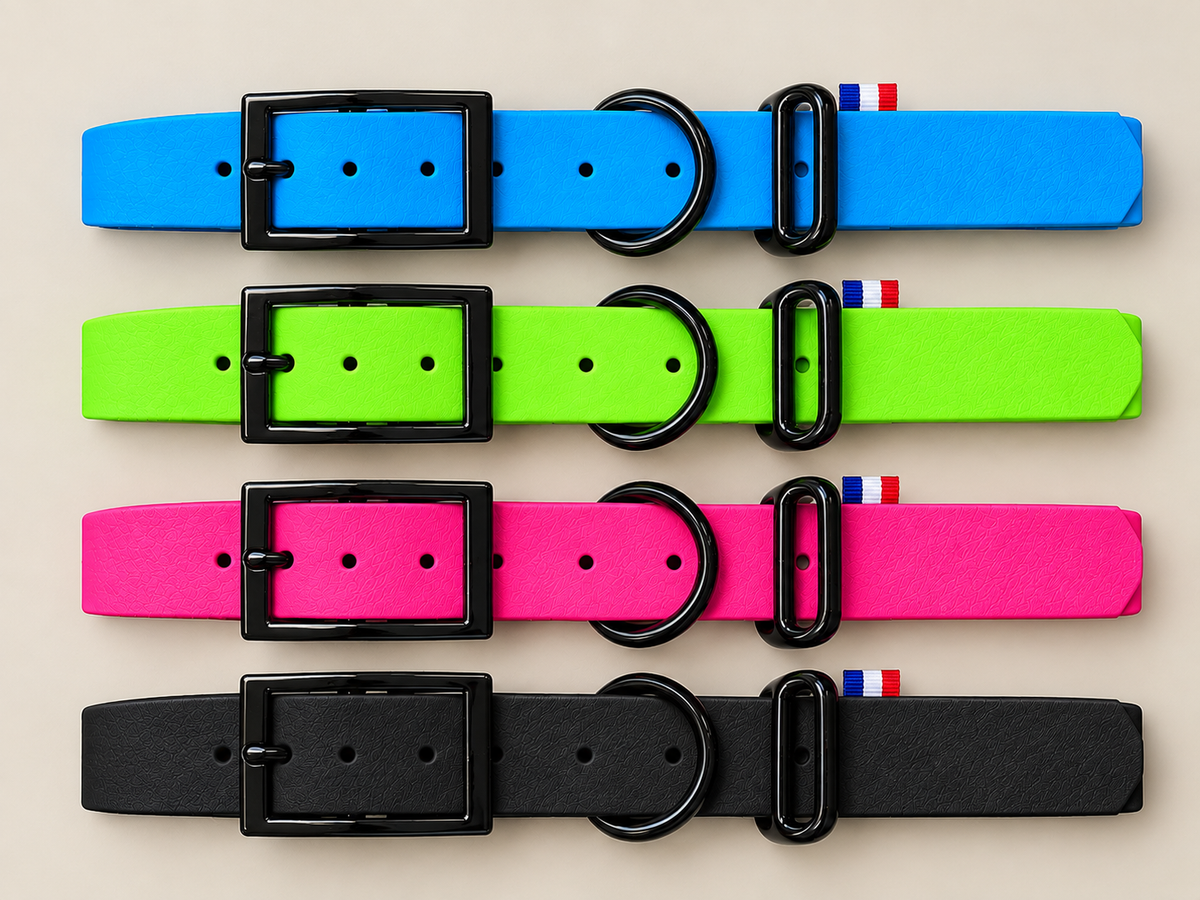 Collier pour chien en biothane