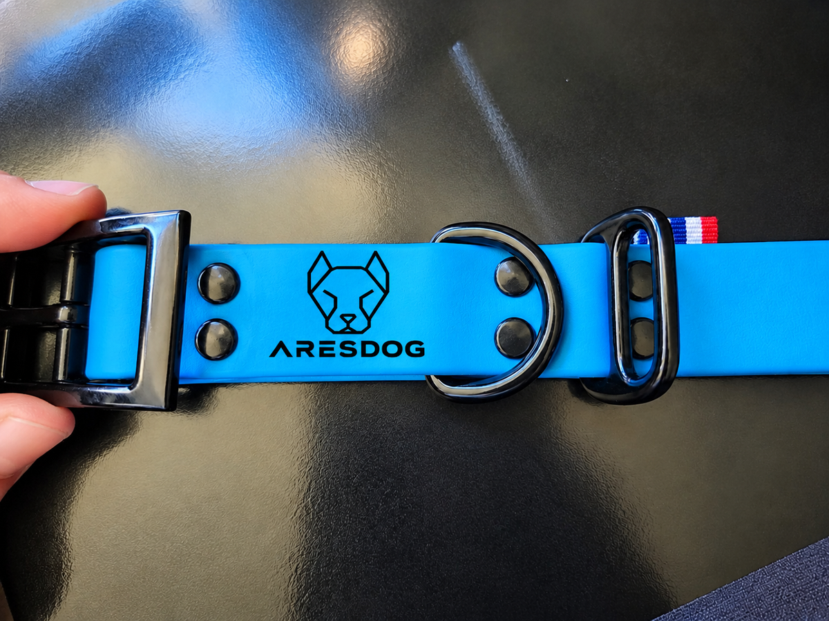 Collier pour chien en biothane